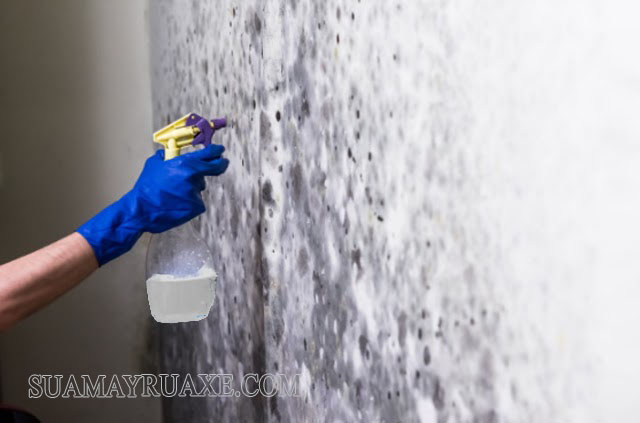 Cách làm sạch tường sơn bị mốc bằng oxy già