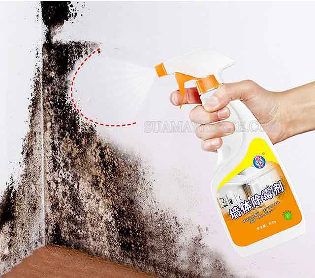 Sử dụng hóa chất tẩy rửa làm sạch vết ẩm mốc trên tường