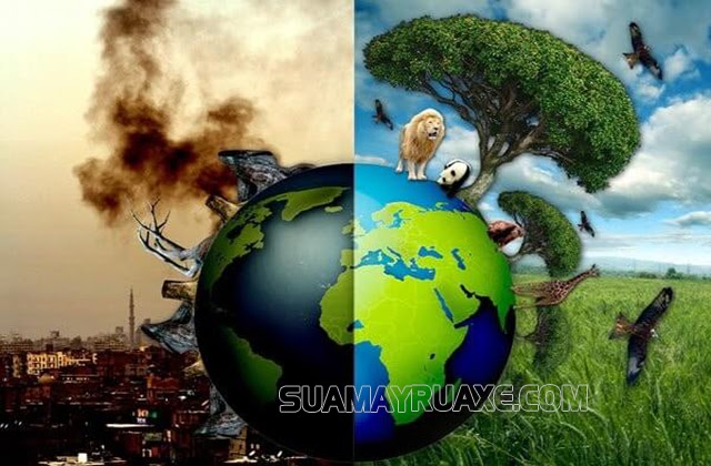 Ô nhiễm môi trường gây mất cân bằng hệ sinh thái